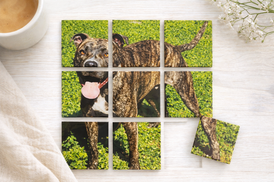 Custom Puzzle Photo Magnet (9-2x2 Pieces)