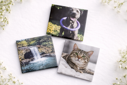 Custom photo Magnets (9 Pack)